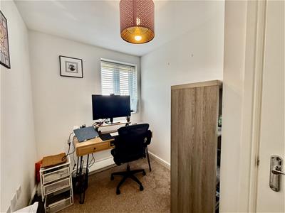 Picture 21